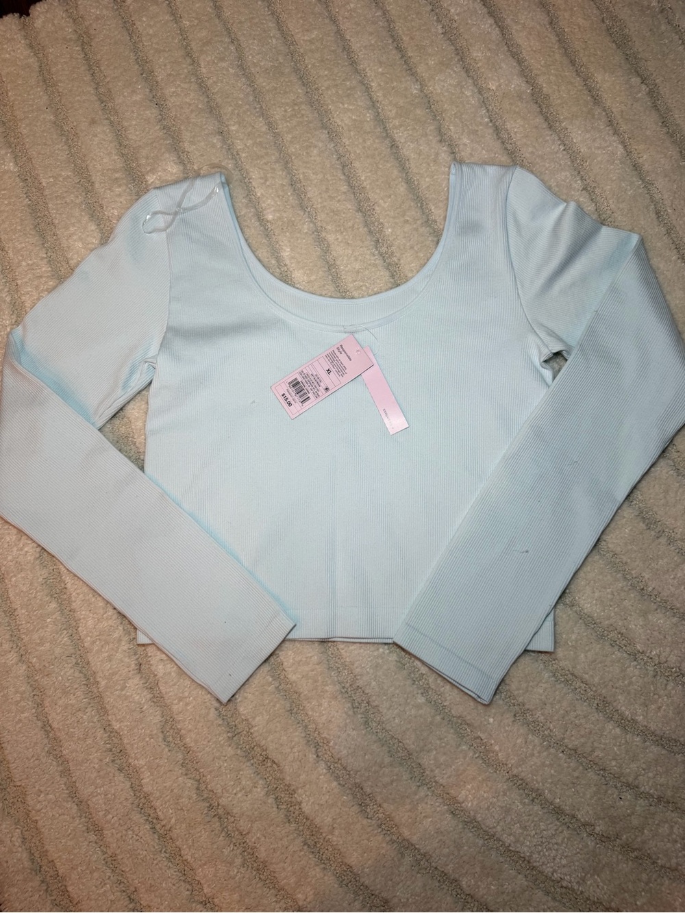 wild fable Light Blue Ribbed Long Sleeve Scoop Neck Crop Top